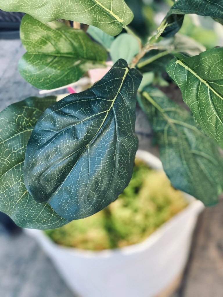 faux fiddle leaf home goods