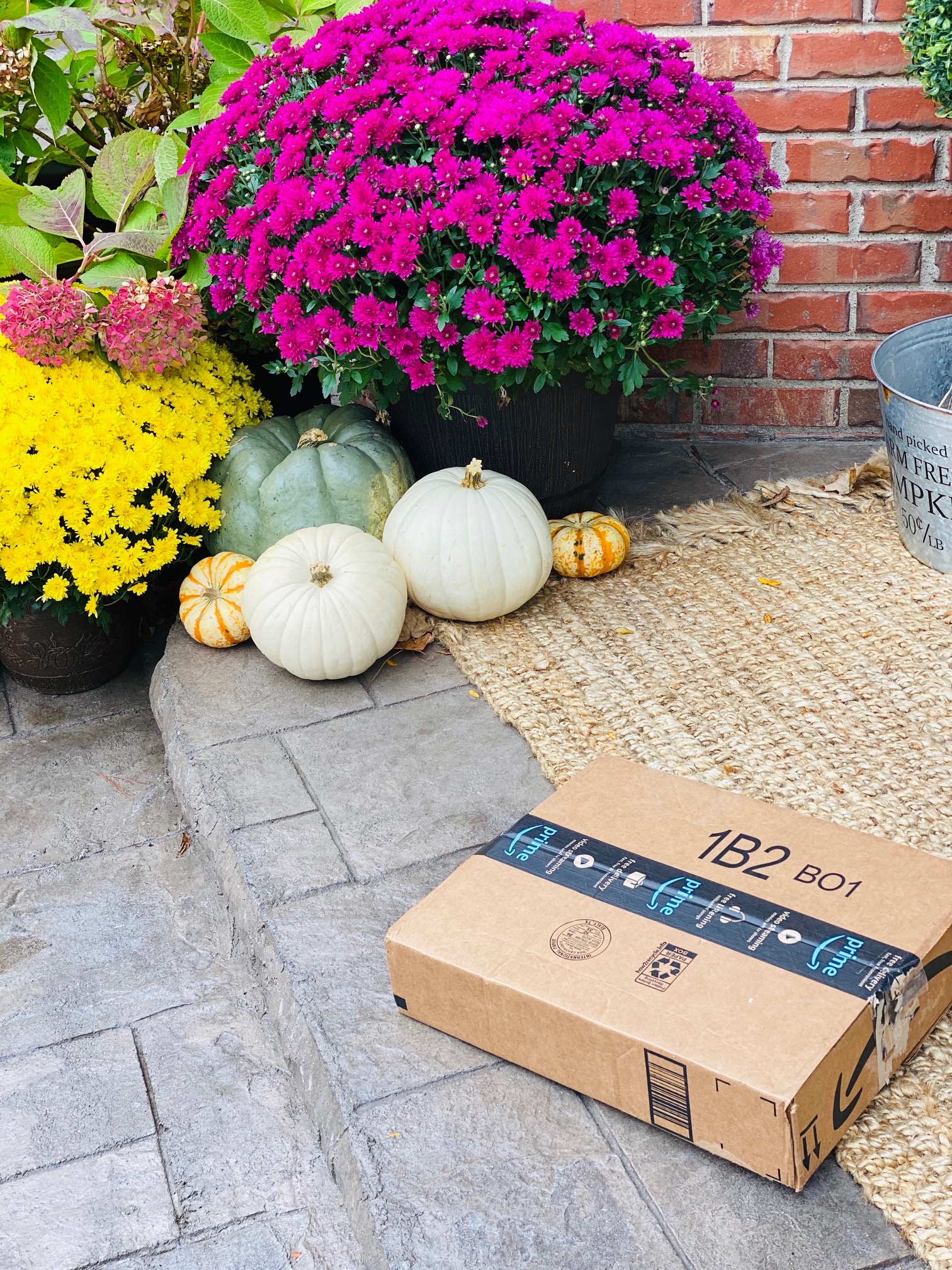 Amazon Prime Box on Porch