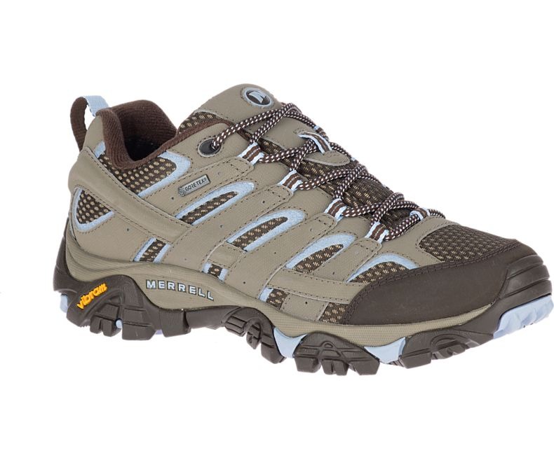 Merrill Moab hiking shoe
